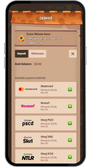 Deposit funds